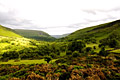 South Wales self catering holiday cottage